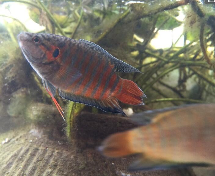 ������ô�� ��һֱ������ȥ����Ҫһ�㼼��