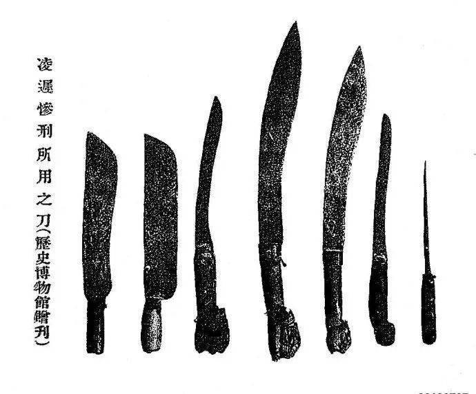 ��ٵ���ʲô����ͼƬ ������ ��ľ����ͷ��ٵ�ͼ��