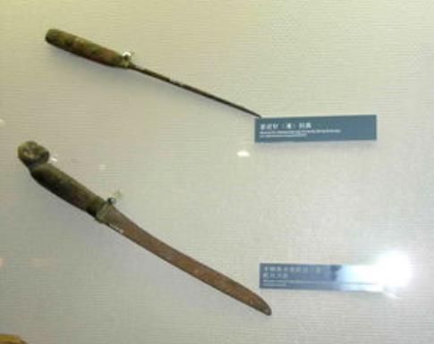 ��ٵ���ʲô����ͼƬ ������ ��ľ����ͷ��ٵ�ͼ��