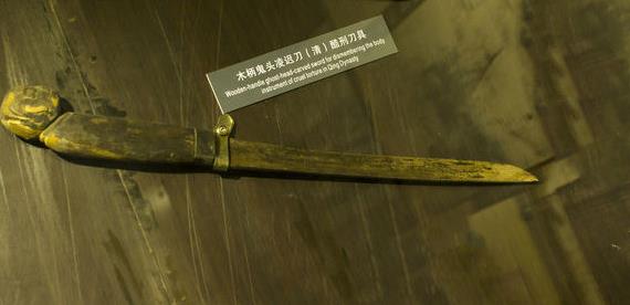 ��ٵ���ʲô����ͼƬ ������ ��ľ����ͷ��ٵ�ͼ��