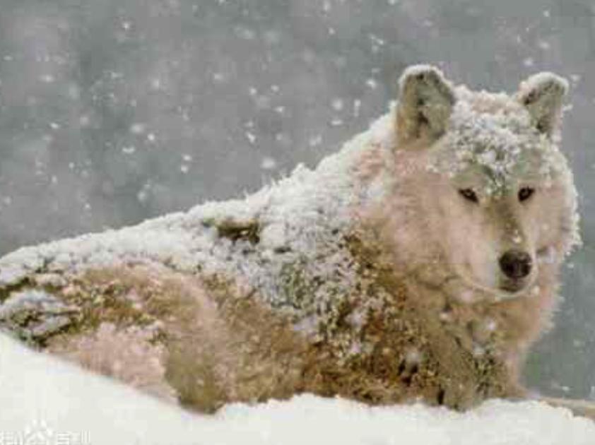 �����ǵ�Ů������ ��ʵ�İ����ǳ�ʲô����