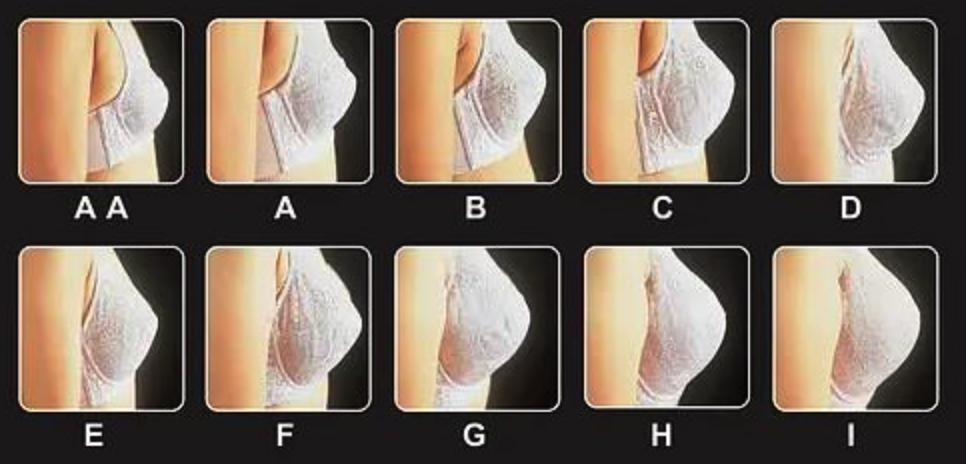 �ֱ���С���ձ�ʾ��ͼ �ֱ���С����˳�������Ƕ���