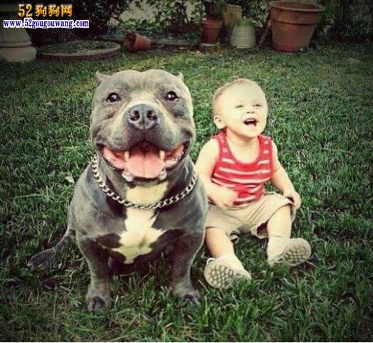 ���Ȯ�ͱ���Ȯ������ ���Ȯ��ʲô���������