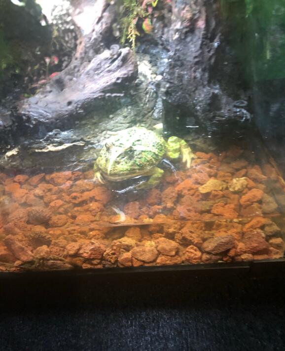 ����Ϊʲôһֱײ���� ������ҧ����ô��