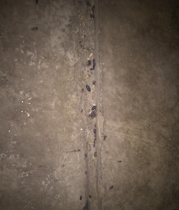 �������ϳ������������ ���ϳ��Ǻ��滹�����