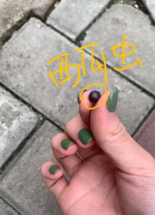 �������ϳ������������ ���ϳ��Ǻ��滹�����