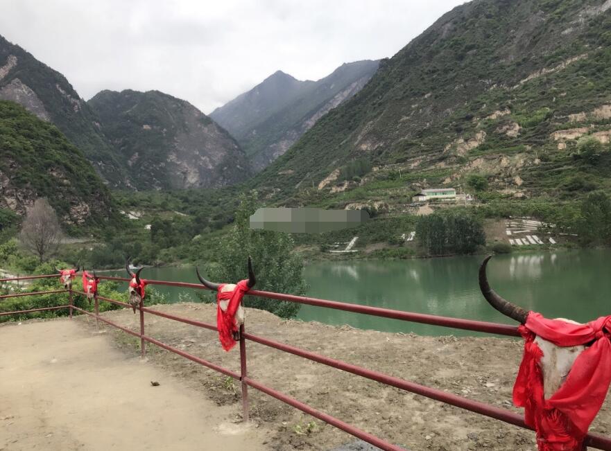 Ǽ����Ϊʲô����ͷ����� Ǽ����ֻ���Ĵ�������