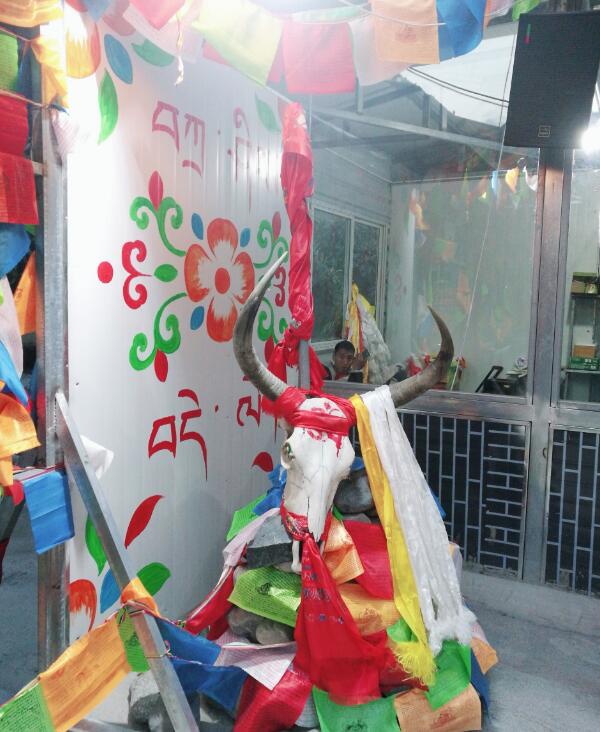 Ǽ����Ϊʲô����ͷ����� Ǽ����ֻ���Ĵ�������