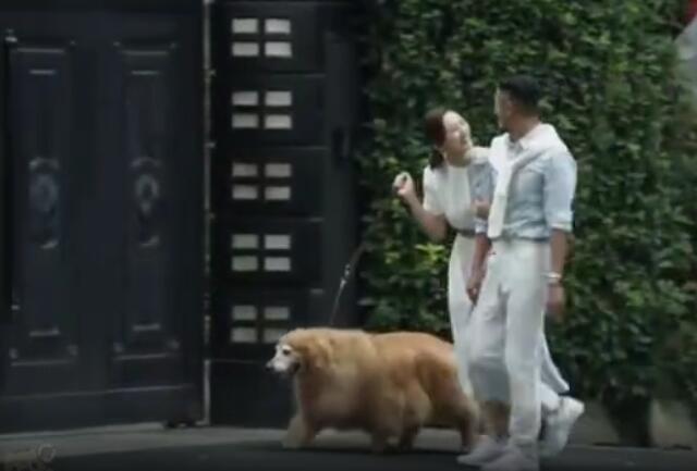 �����ͺ�����ʲô��˼ ��ʮ�����е�������Ϊʲô�к���