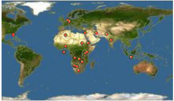 ��è���Ե��������� ���й�����è������