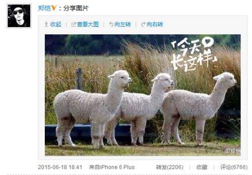 ֣����Ӧ����Τѩ�¼� ��������Τѩ�������