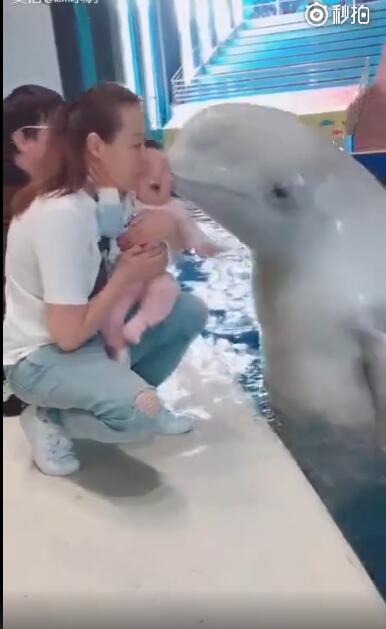 �׾�Ϊʲô�������Ѻ� ͨ���Ժ�������ô�Ѻ�