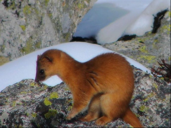 Ϊʲô�����ǻ�˵�˻� ���ϻ������¼����