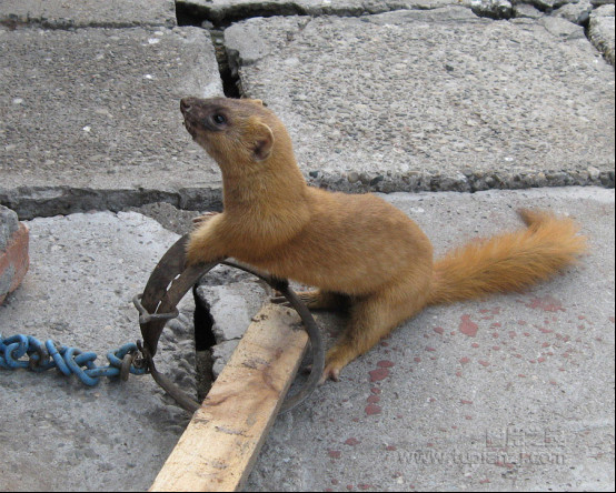 Ϊʲô�����ǻ�˵�˻� ���ϻ������¼����