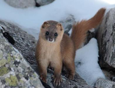 Ϊʲô�����ǻ�˵�˻� ���ϻ������¼����