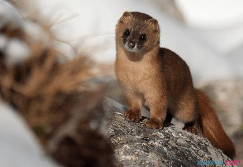 Ϊʲô�����ǻ�˵�˻� ���ϻ������¼����