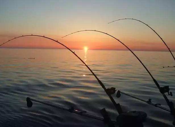 ������˻᲻���ⱨӦ �������Ϊʲô����