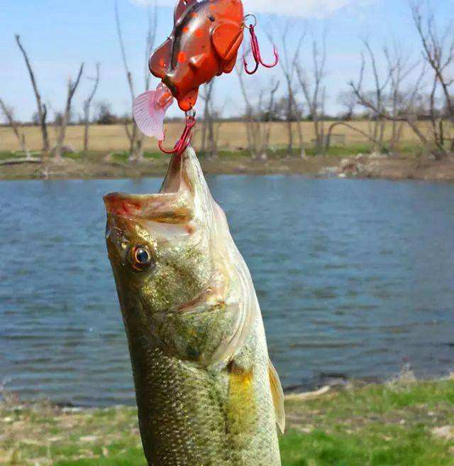 ������˻᲻���ⱨӦ �������Ϊʲô����