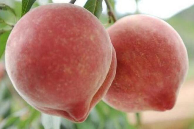 Ů�˵�ˮ������ɶ��˼�� ˮ��������Ů��ʲô��˼