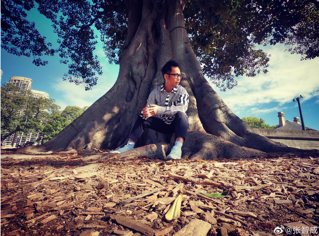 ���ǳ�Ϊʲô�������� ���ǳɽ������