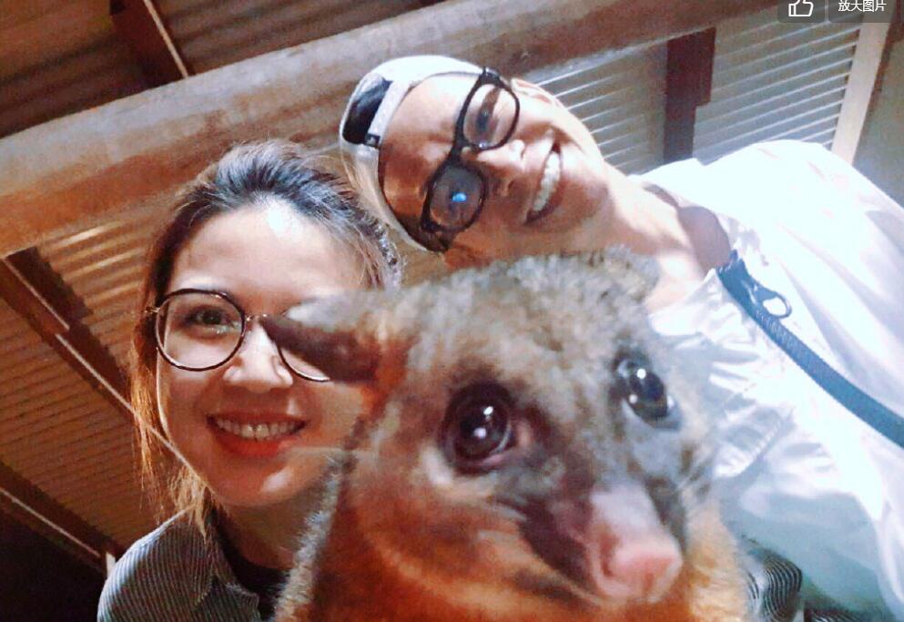 ���ǳ�Ϊʲô�������� ���ǳɽ������