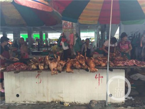 ����Ϊʲô�Թ��� ���ֹ�������ṷͼƬ