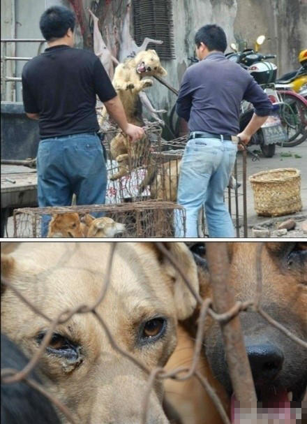 ����Ϊʲô�Թ��� ���ֹ�������ṷͼƬ