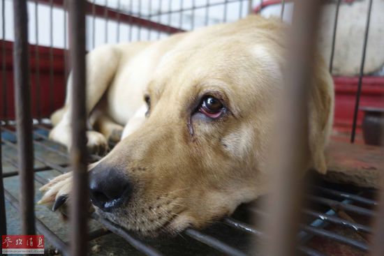 ����Ϊʲô�Թ��� ���ֹ�������ṷͼƬ