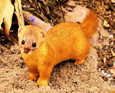 ������Ϊʲô���ܴ� �����ǳɾ�����ʵ�¼�