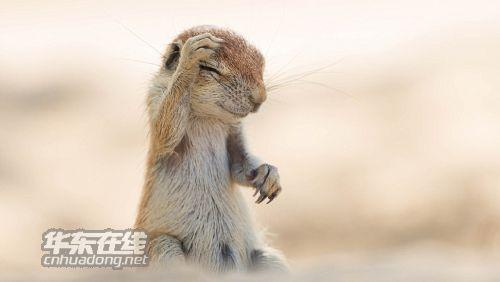 ������Ϊʲô���ܴ� �����ǳɾ�����ʵ�¼�