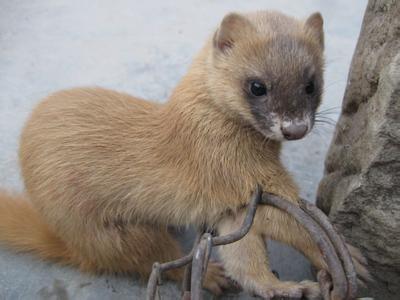 ������Ϊʲô���ܴ� �����ǳɾ�����ʵ�¼�