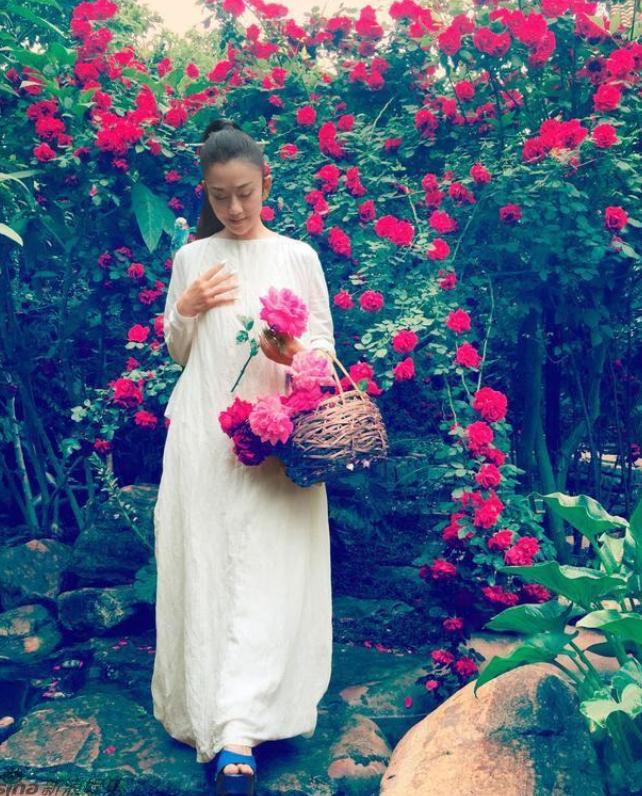 ����Ƽ15���߹������ ��Ϊ������ժ�������߹����