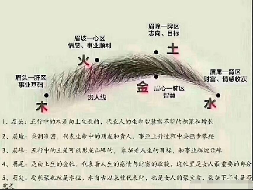 ��ü��ʲô˵�� ��ü�������������