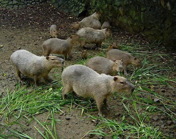 ˮ��Ϊʲô�����������������û�� ˮ��Ϊʲô�ǽ��ʻ�