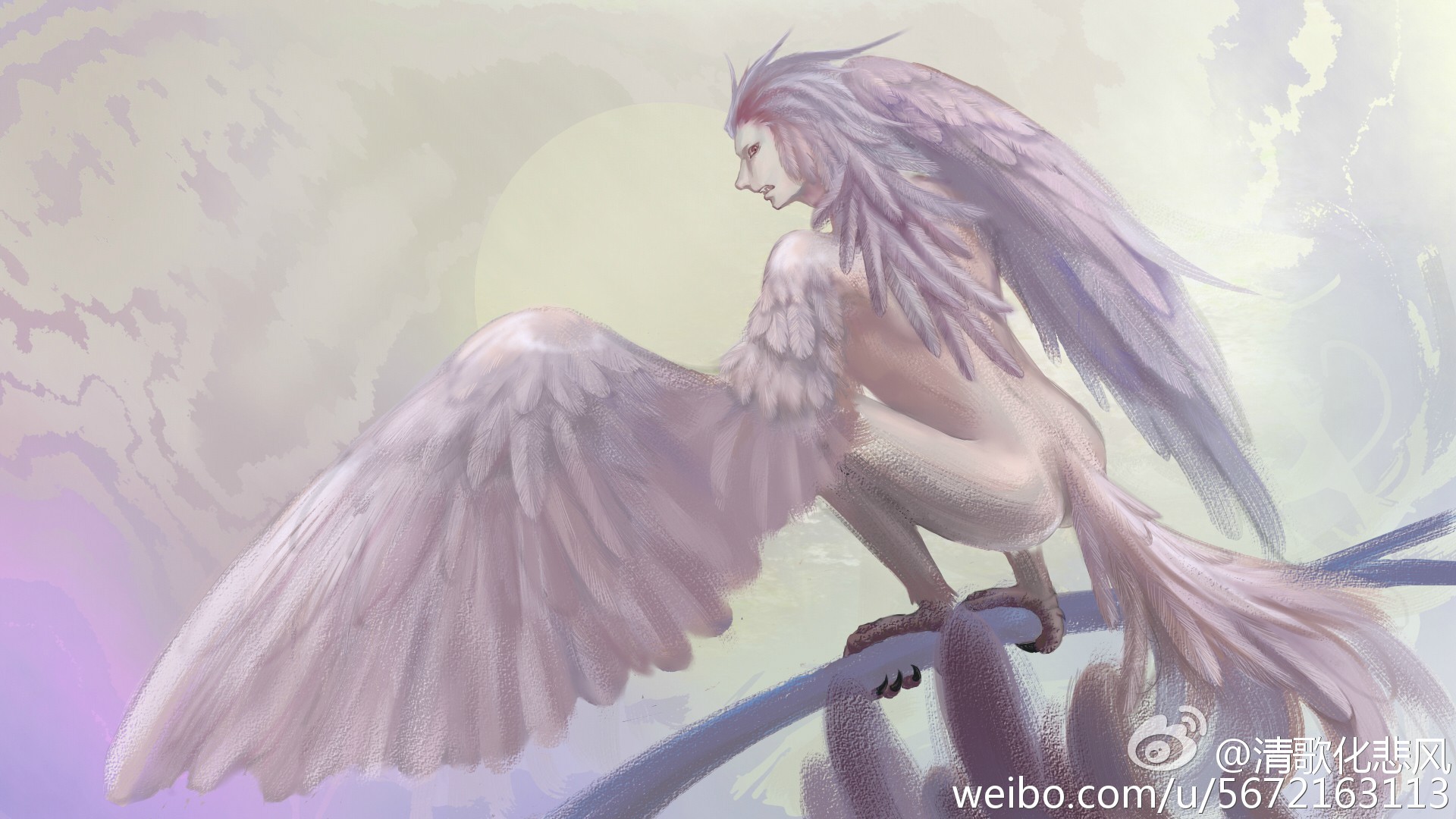 �����۳����ı�С˵ ��������ʲô��˼