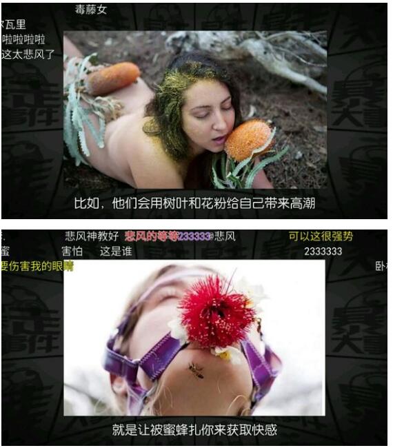 �����۳����ı�С˵ ��������ʲô��˼