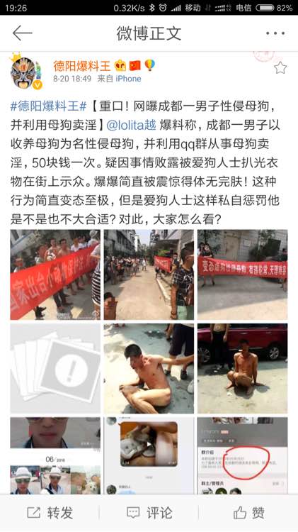 �����۳����ı�С˵ ��������ʲô��˼