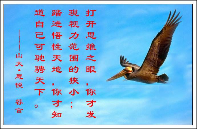 ���Ը��������˵��ص� ���Ըߵ����ʺ���ʲô