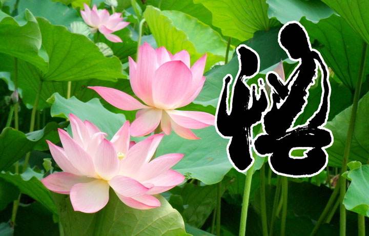 ���Ը��������˵��ص� ���Ըߵ����ʺ���ʲô