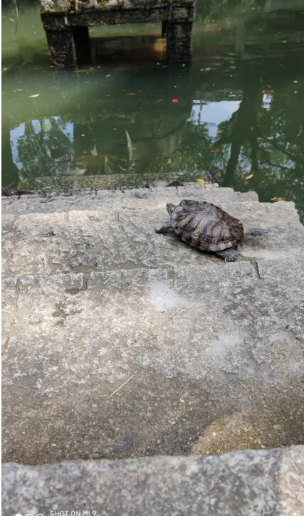 �����������������й� ������ʲô���������ȷ����