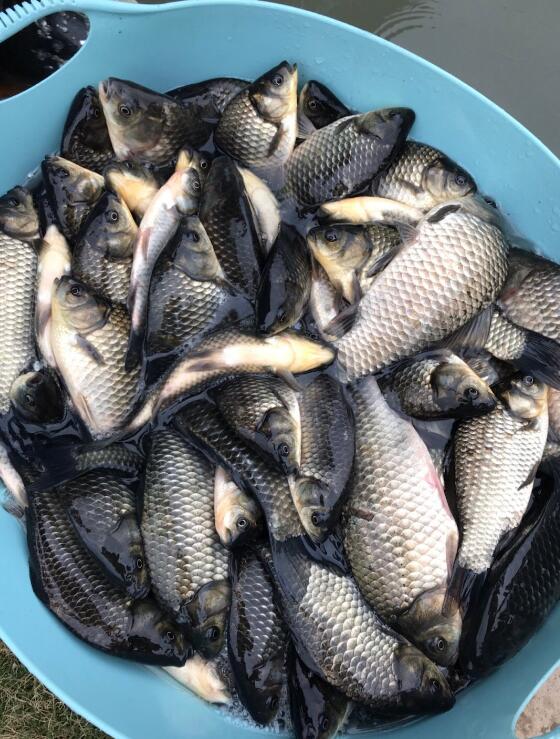 �����������������й� ������ʲô���������ȷ����