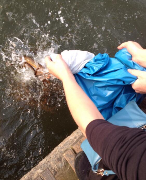 �����������������й� ������ʲô���������ȷ����