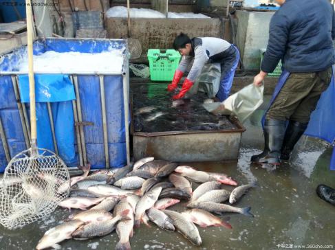 �㷷�������������� ���г�����˲������