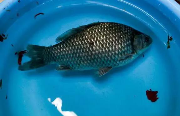 �㷷�������������� ���г�����˲������