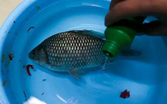 �㷷�������������� ���г�����˲������