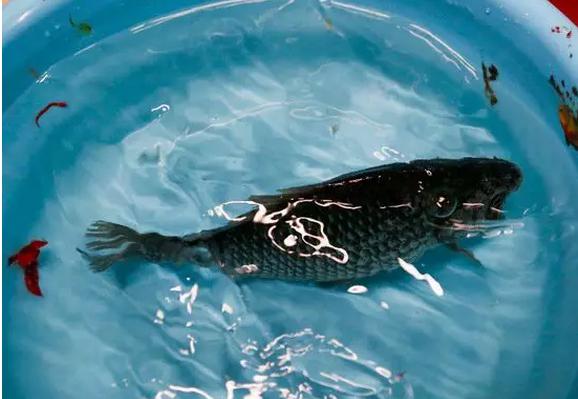 �㷷�������������� ���г�����˲������