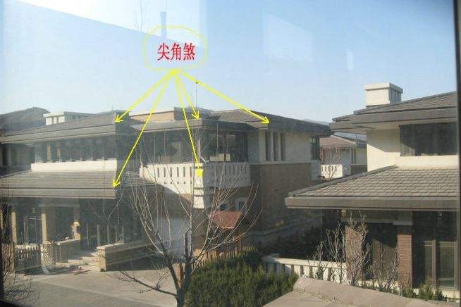 ���ɷ��ֱ��ɷͼƬ ���ɷ��ʲô��˼