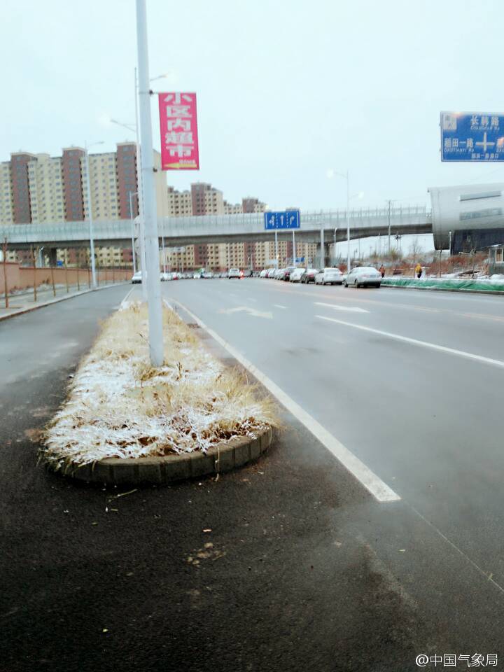 北京迎今冬初雪：雪是好雪 但风不是什么正经风