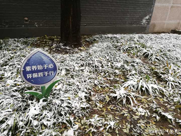 北京迎今冬初雪：雪是好雪 但风不是什么正经风