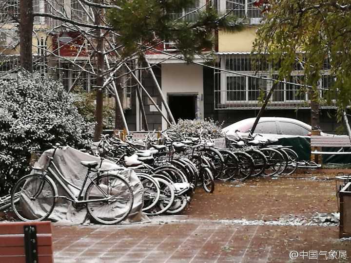 ����ӭ�񶬳�ѩ��ѩ�Ǻ�ѩ ���粻��ʲô������